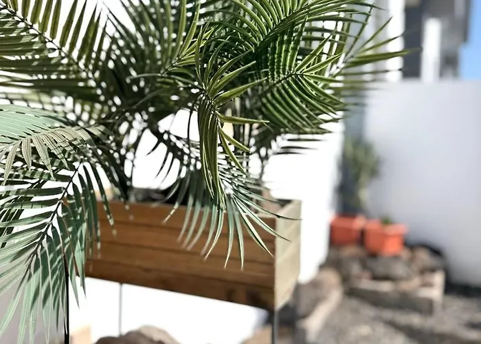 El Beso Del Mar Costa De Antigua